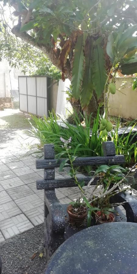 Ami Place Rooms With Kitchen ฮิกคาดูวา ภายนอก รูปภาพ